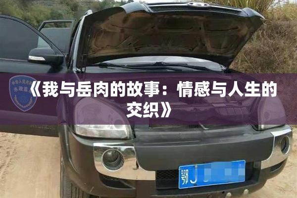 《我与岳肉的故事：情感与人生的交织》