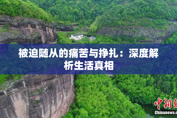 被迫随从的痛苦与挣扎：深度解析生活真相
