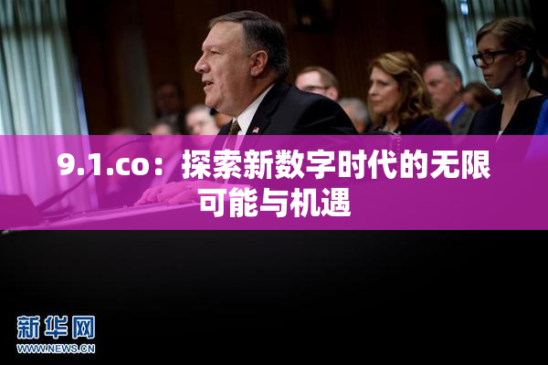9.1.co：探索新数字时代的无限可能与机遇