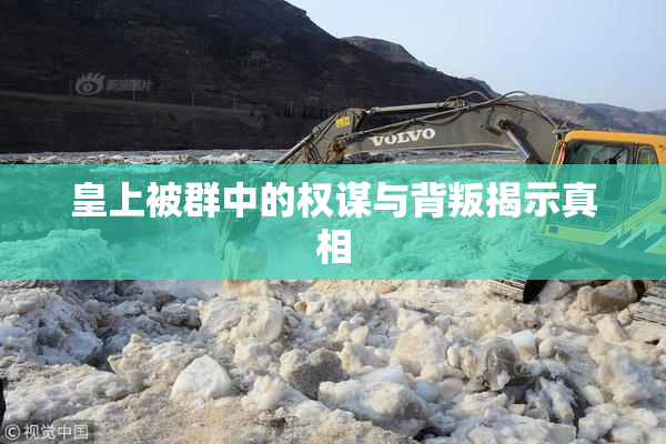 皇上被群中的权谋与背叛揭示真相