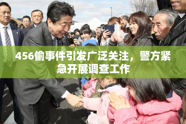 456偷事件引发广泛关注，警方紧急开展调查工作