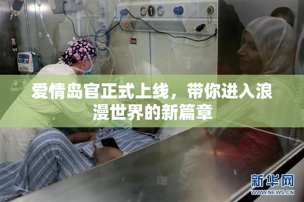 爱情岛官正式上线，带你进入浪漫世界的新篇章
