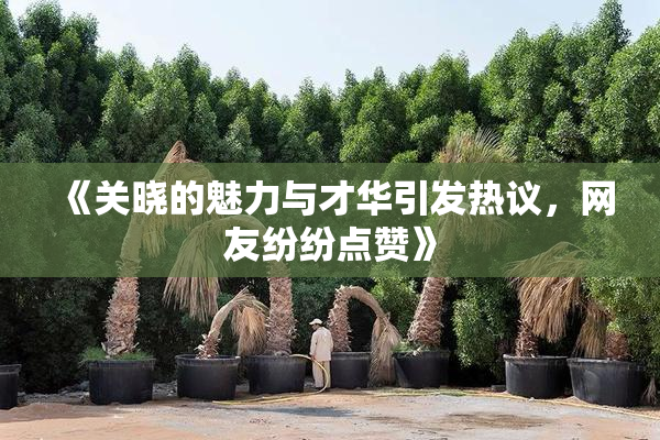 《关晓的魅力与才华引发热议，网友纷纷点赞》
