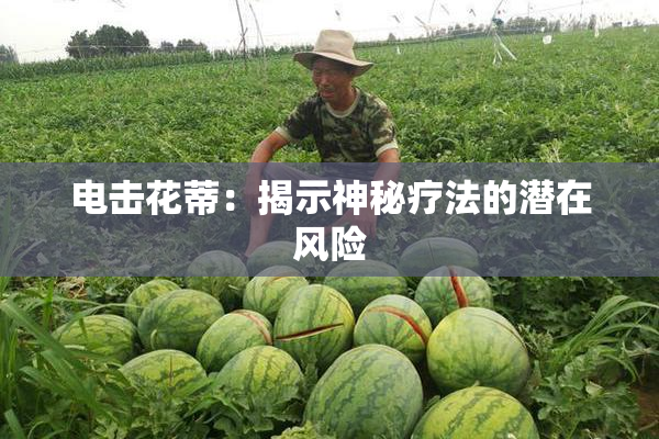 电击花蒂：揭示神秘疗法的潜在风险