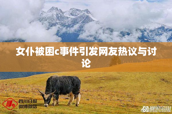 女仆被困c事件引发网友热议与讨论