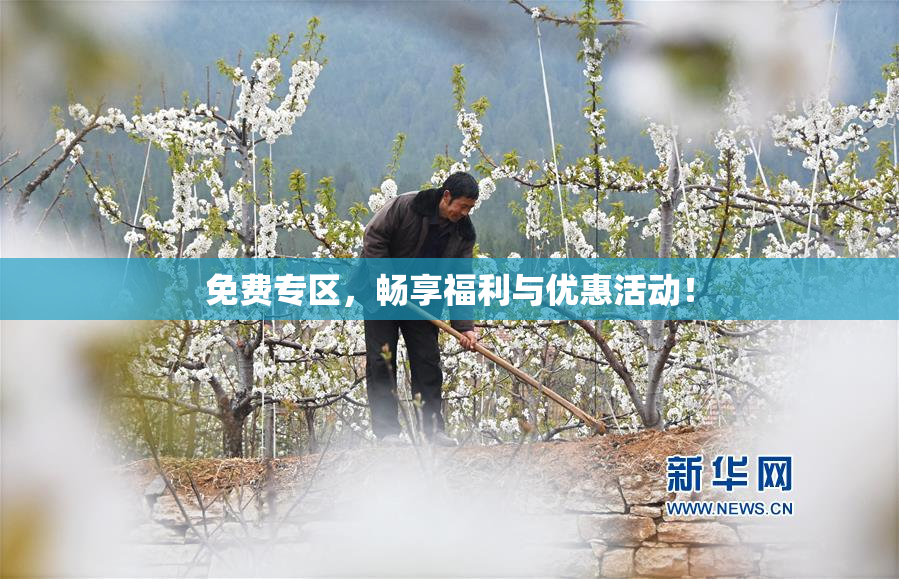 免费专区，畅享福利与优惠活动！
