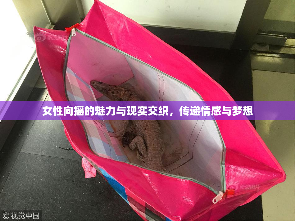 女性向摇的魅力与现实交织，传递情感与梦想