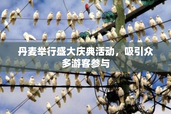丹麦举行盛大庆典活动，吸引众多游客参与