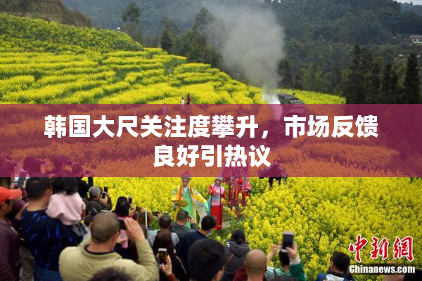 韩国大尺关注度攀升，市场反馈良好引热议