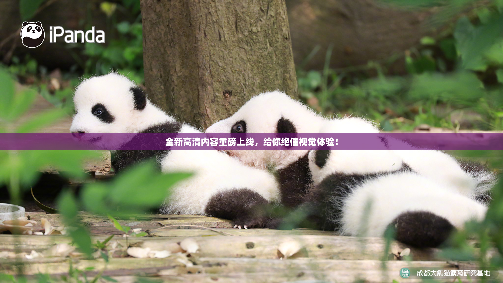 全新高清内容重磅上线，给你绝佳视觉体验！