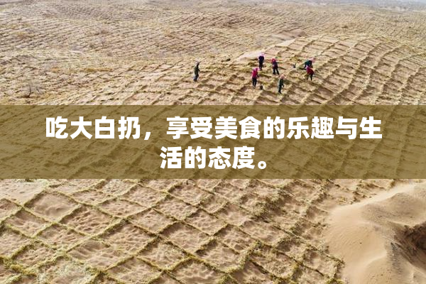 吃大白扔，享受美食的乐趣与生活的态度。