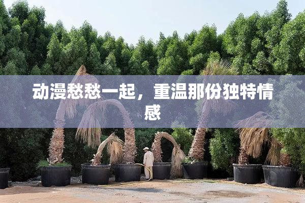 动漫愁愁一起，重温那份独特情感