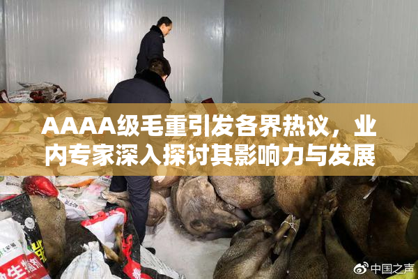 AAAA级毛重引发各界热议，业内专家深入探讨其影响力与发展前景