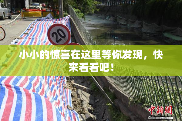 小小的惊喜在这里等你发现，快来看看吧！