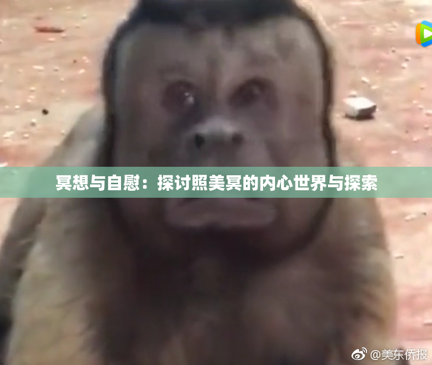 冥想与自慰：探讨照美冥的内心世界与探索