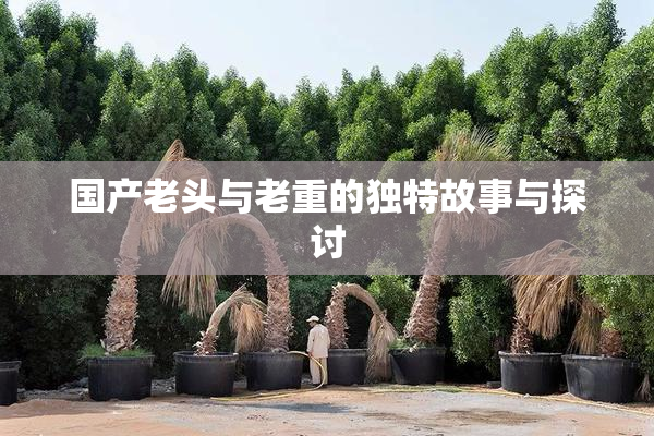 国产老头与老重的独特故事与探讨