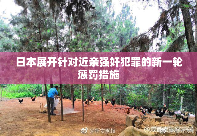 日本展开针对近亲强奸犯罪的新一轮惩罚措施