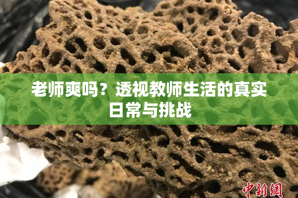 老师爽吗？透视教师生活的真实日常与挑战