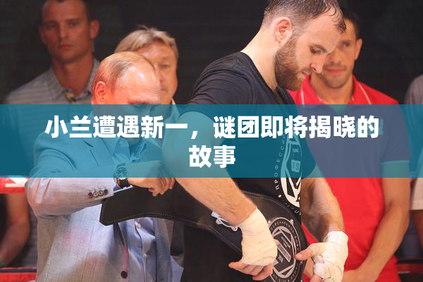 小兰遭遇新一，谜团即将揭晓的故事