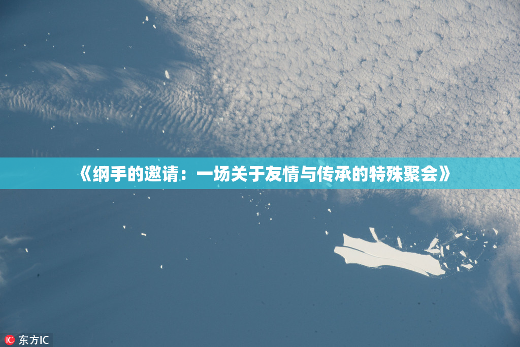 《纲手的邀请：一场关于友情与传承的特殊聚会》