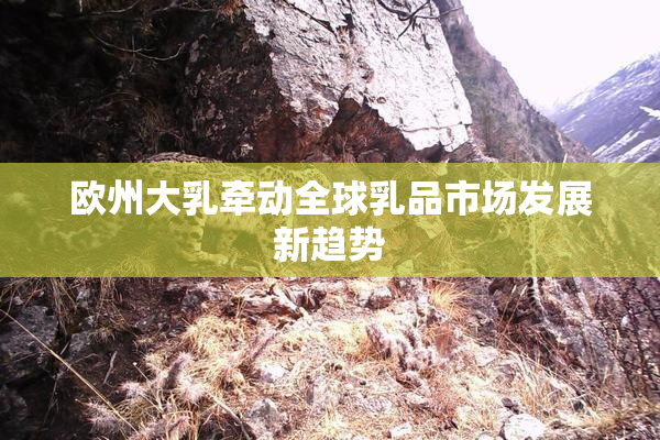 欧州大乳牵动全球乳品市场发展新趋势