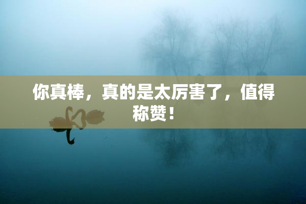 你真棒，真的是太厉害了，值得称赞！