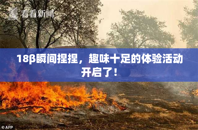 18β瞬间捏捏，趣味十足的体验活动开启了！