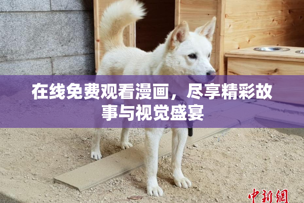 在线免费观看漫画，尽享精彩故事与视觉盛宴