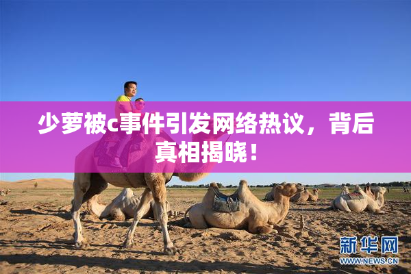 少萝被c事件引发网络热议，背后真相揭晓！