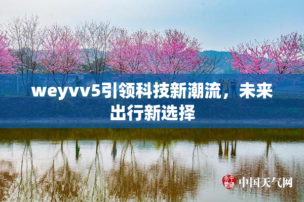 weyvv5引领科技新潮流，未来出行新选择