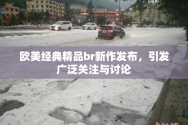 欧美经典精品br新作发布，引发广泛关注与讨论