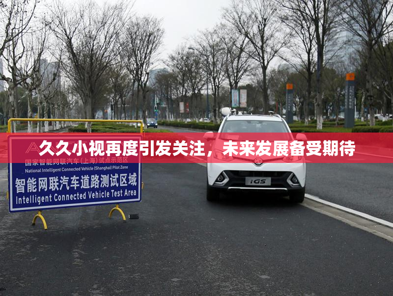 久久小视再度引发关注，未来发展备受期待