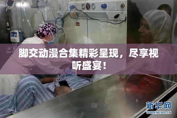 脚交动漫合集精彩呈现，尽享视听盛宴！