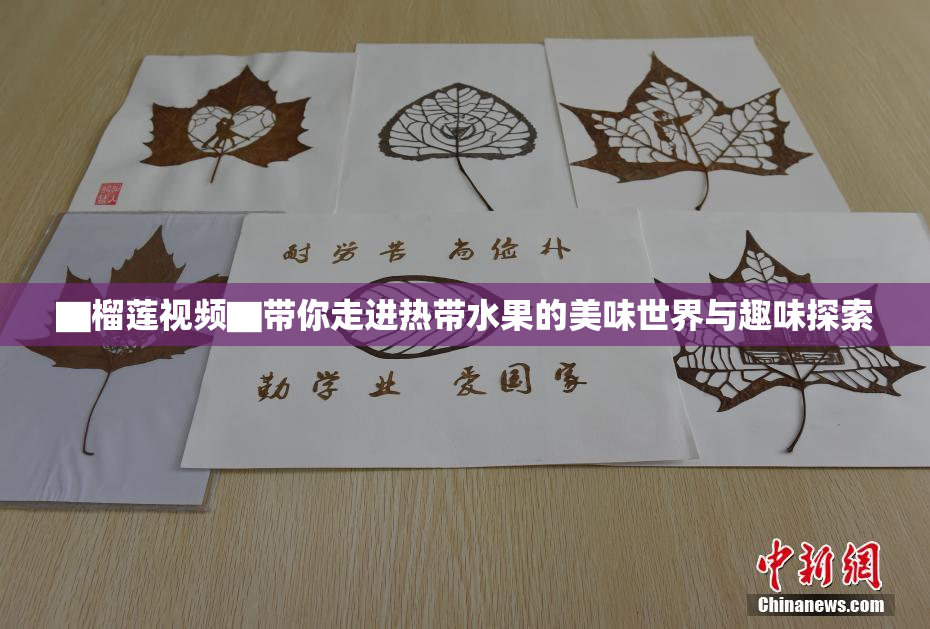 ▇榴莲视频▇带你走进热带水果的美味世界与趣味探索