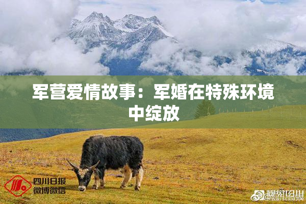 军营爱情故事：军婚在特殊环境中绽放