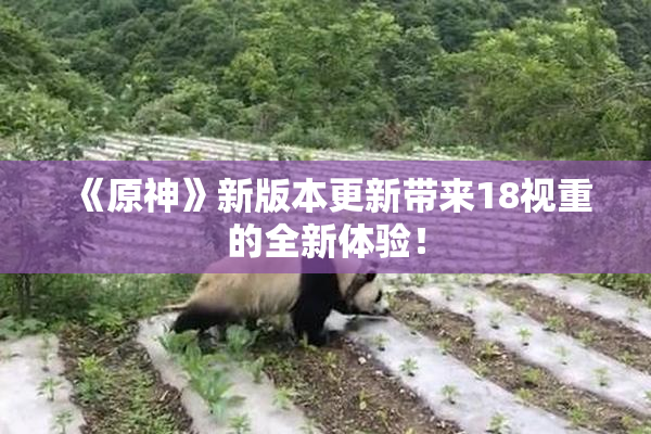 《原神》新版本更新带来18视重的全新体验！