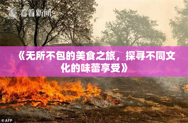 《无所不包的美食之旅，探寻不同文化的味蕾享受》