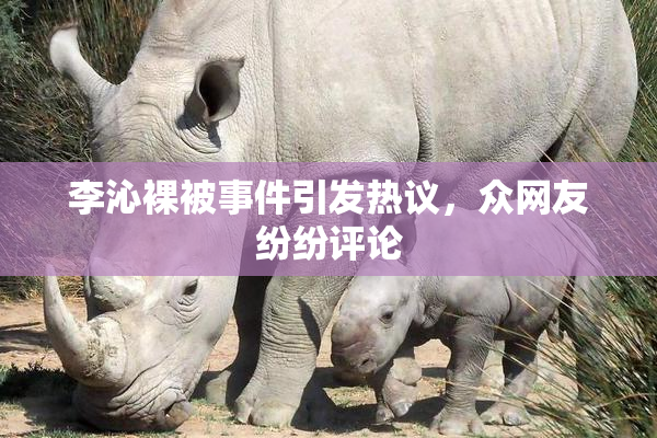 李沁裸被事件引发热议，众网友纷纷评论