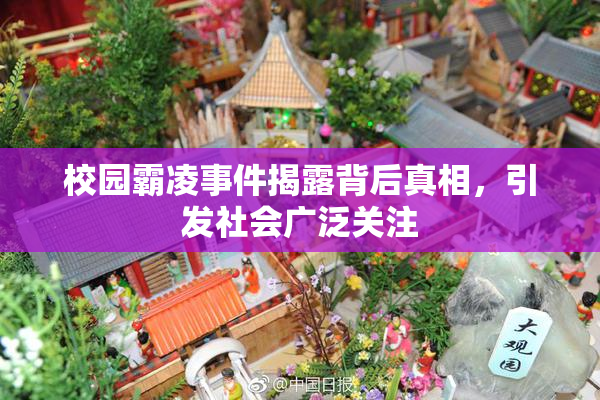 校园霸凌事件揭露背后真相，引发社会广泛关注