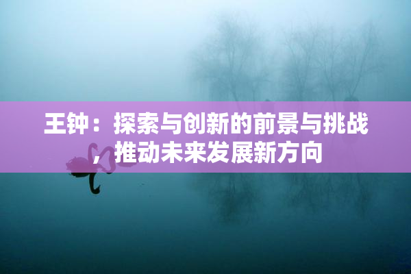 王钟：探索与创新的前景与挑战，推动未来发展新方向