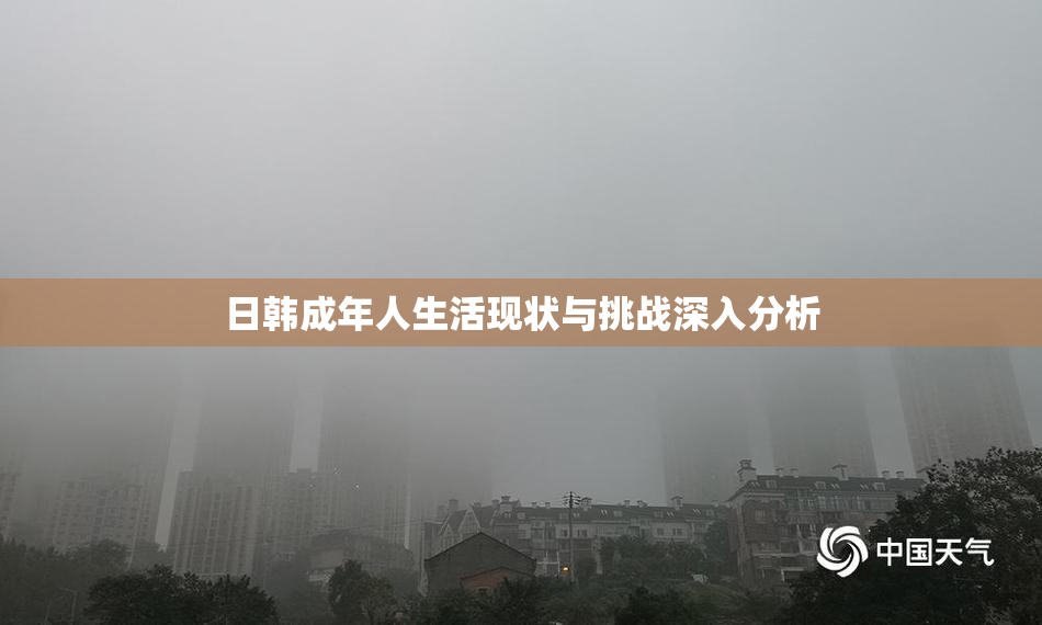 日韩成年人生活现状与挑战深入分析