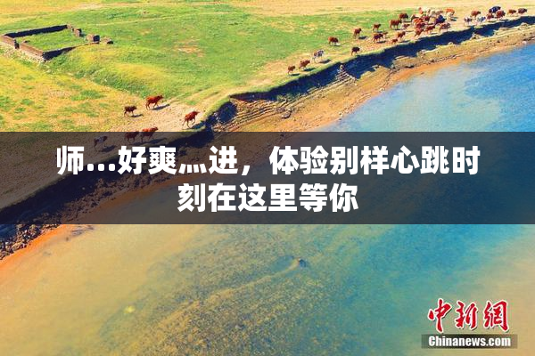 师…好爽灬进，体验别样心跳时刻在这里等你