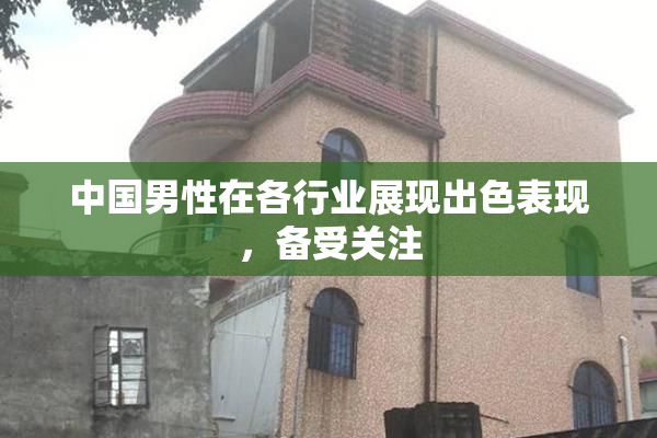 中国男性在各行业展现出色表现，备受关注