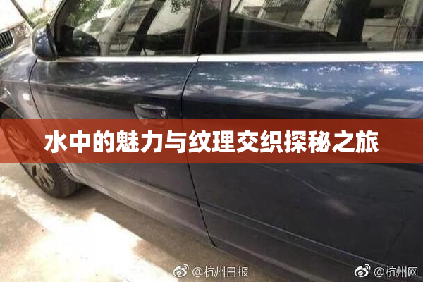 水中的魅力与纹理交织探秘之旅