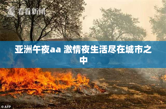 亚洲午夜aa 激情夜生活尽在城市之中