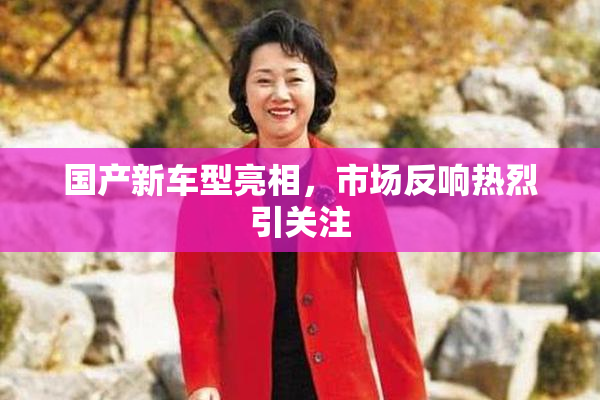 国产新车型亮相，市场反响热烈引关注