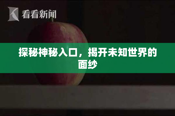 探秘神秘入口，揭开未知世界的面纱