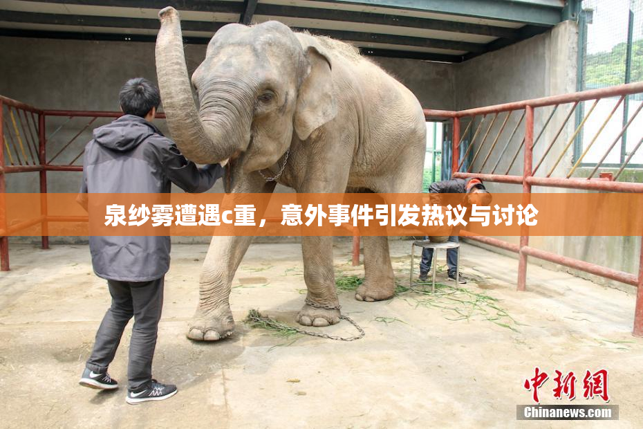 泉纱雾遭遇c重，意外事件引发热议与讨论
