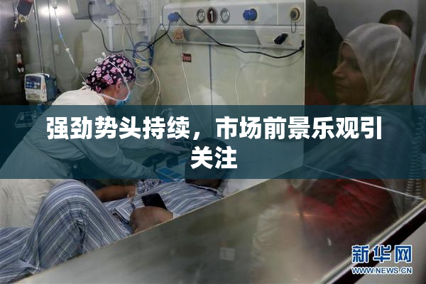 强劲势头持续，市场前景乐观引关注
