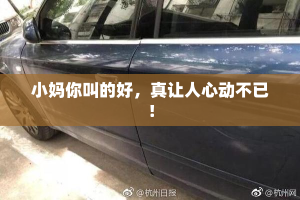 小妈你叫的好，真让人心动不已！